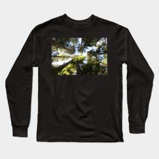 A View with a View Long Sleeve T-Shirt